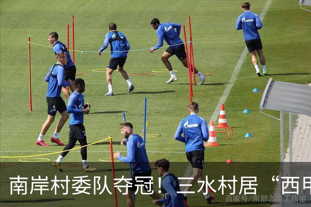 南岸村委队夺冠！三水村居“西甲”燃情落幕